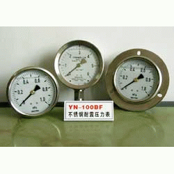 耐震压力表